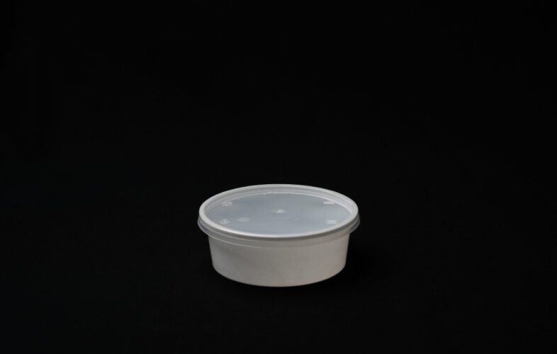 250 ml disposable plastic food container